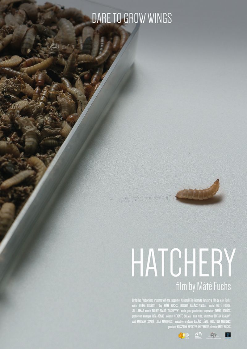 Plagát k filmu Hatchery: nádoba s červíkmi, jeden z nich z nádoby vyšiel
